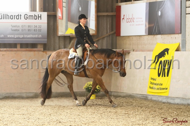 29-ApHC OHUS_016.jpg